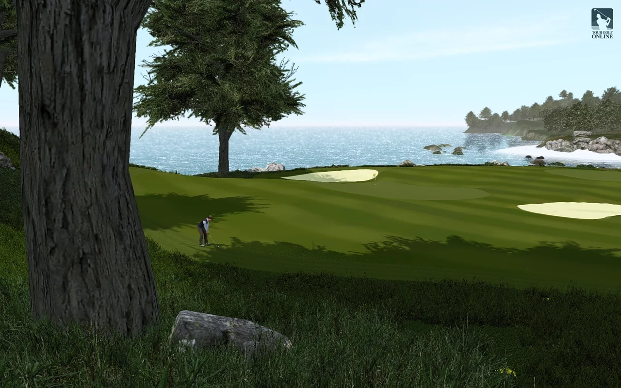 Изображение игры: Tour Golf Online