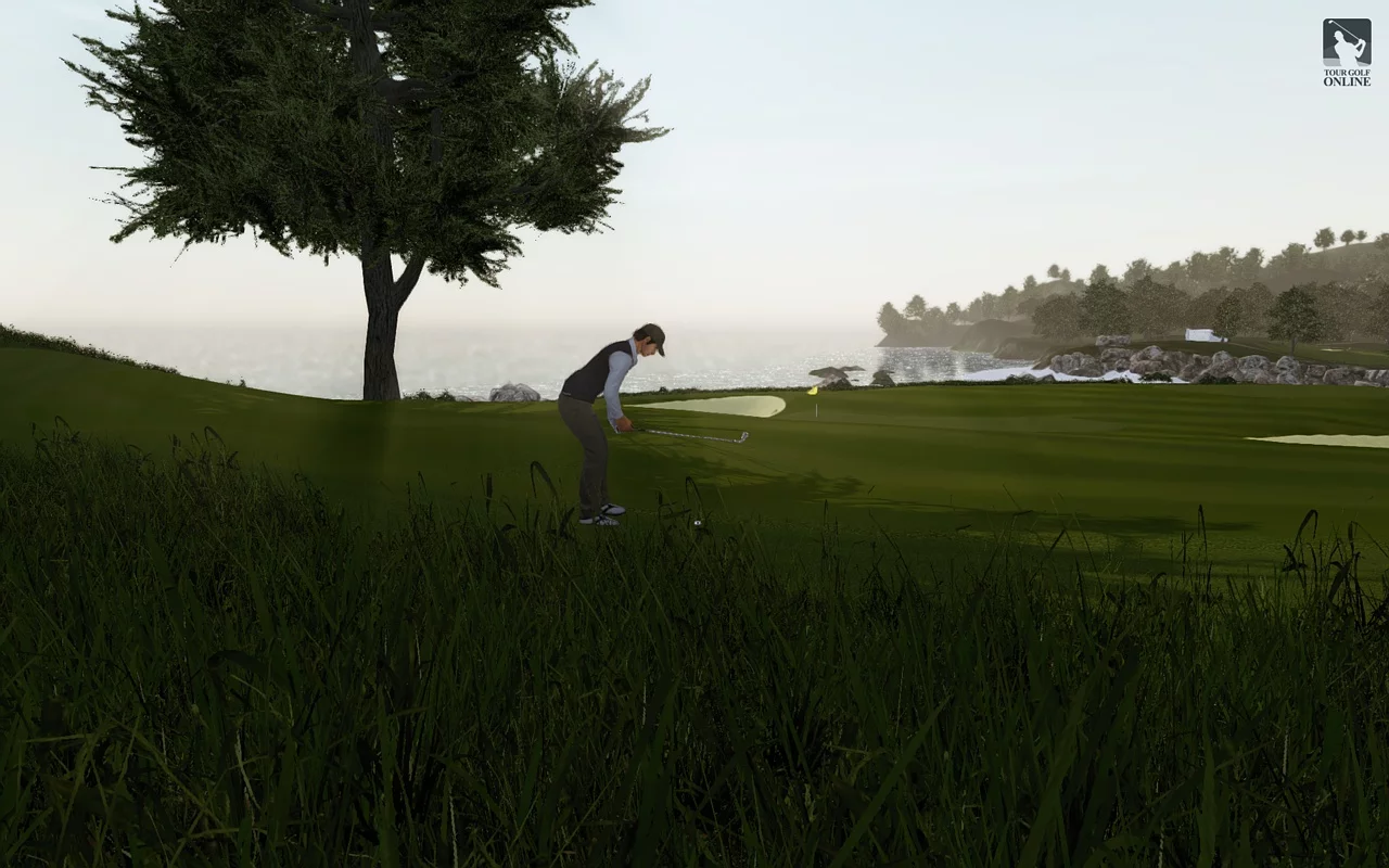 Изображение игры: Tour Golf Online