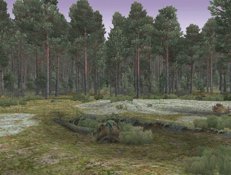 Изображение игры: Меченосец