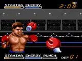 Изображение игры: Digital Champ Battle Boxing