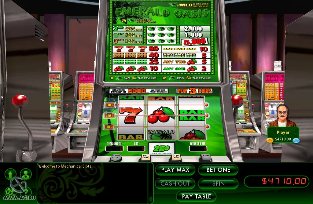 Изображение игры: Hoyle Casino Games (2009)