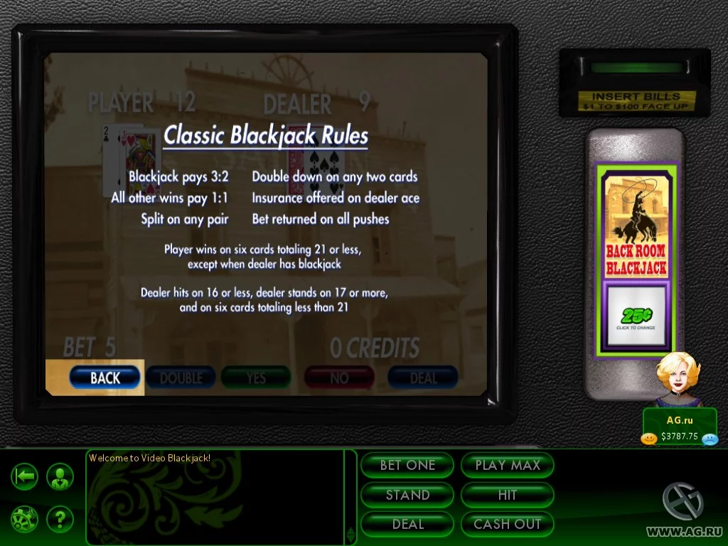 Изображение игры: Hoyle Casino Games (2011)