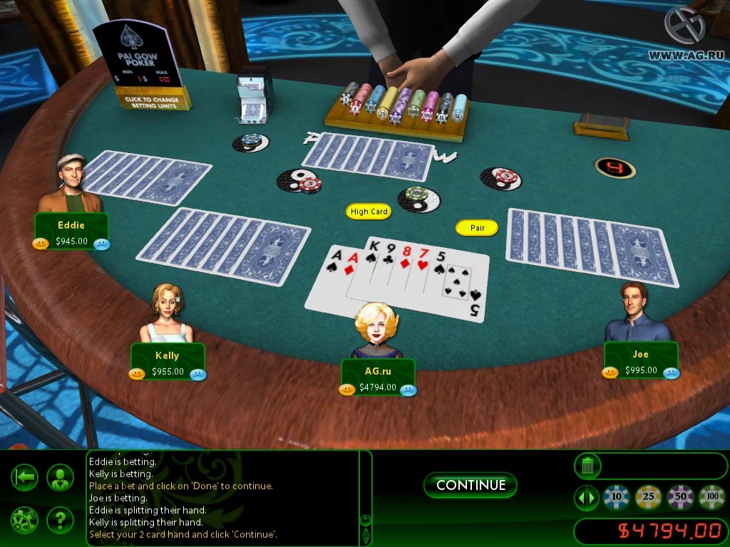 Изображение игры: Hoyle Casino Games (2011)