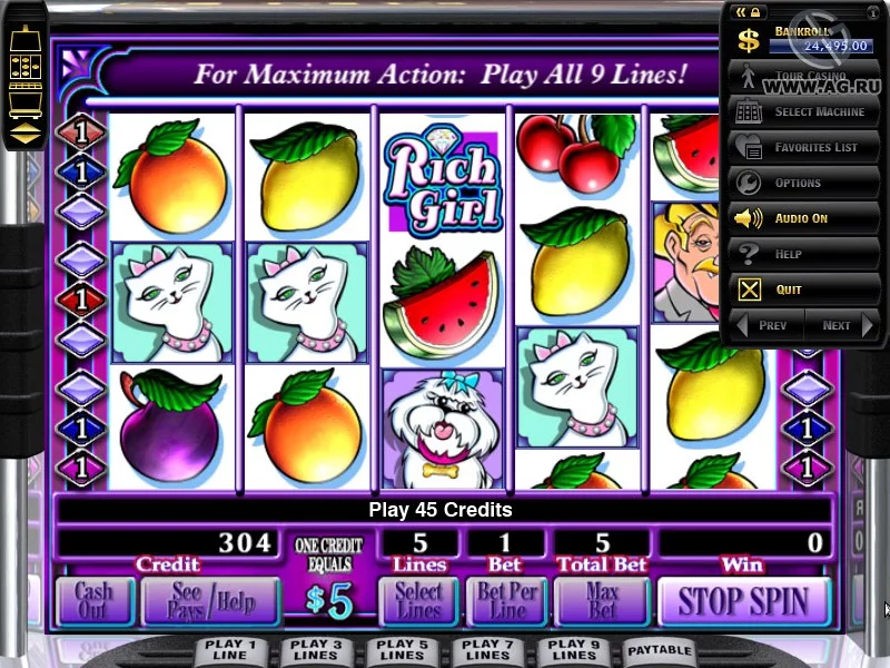 Изображение игры: IGT Slots: Texas Tea