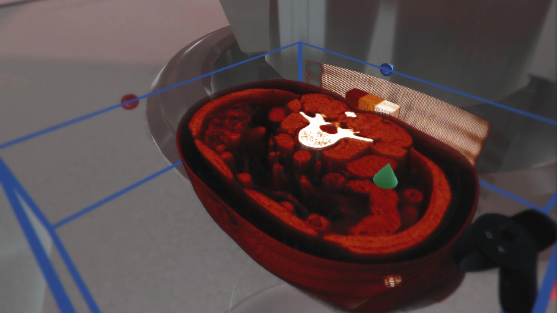 Изображение игры: The Body VR: Anatomy Viewer