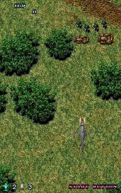 Изображение игры: Twin Eagle