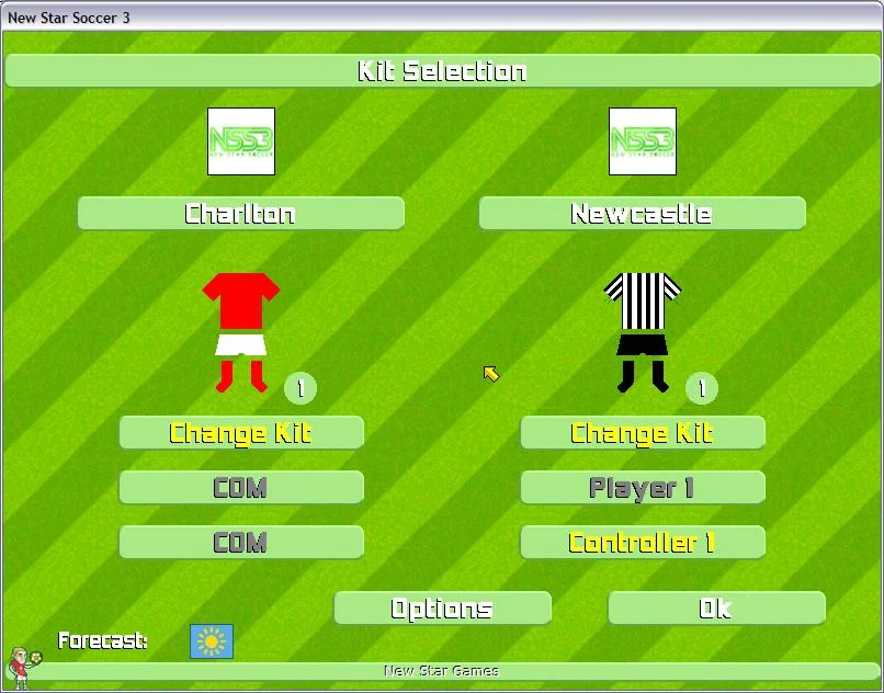 Изображение игры: New Star Soccer 3