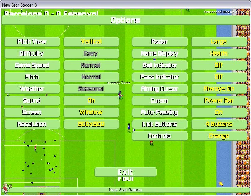 Изображение игры: New Star Soccer 3