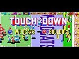 Изображение игры: Tecmo Bowl