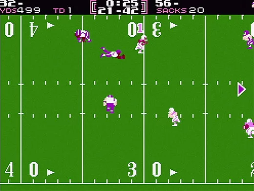 Изображение игры: Tecmo Bowl