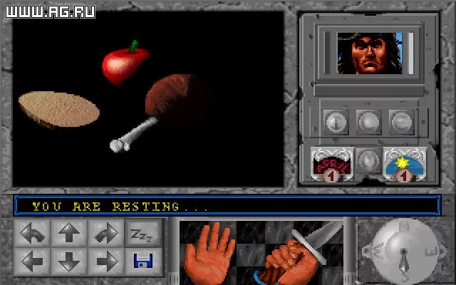 Изображение игры: Revolt of Don's Knights