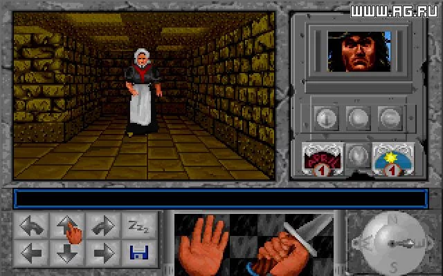 Изображение игры: Revolt of Don's Knights