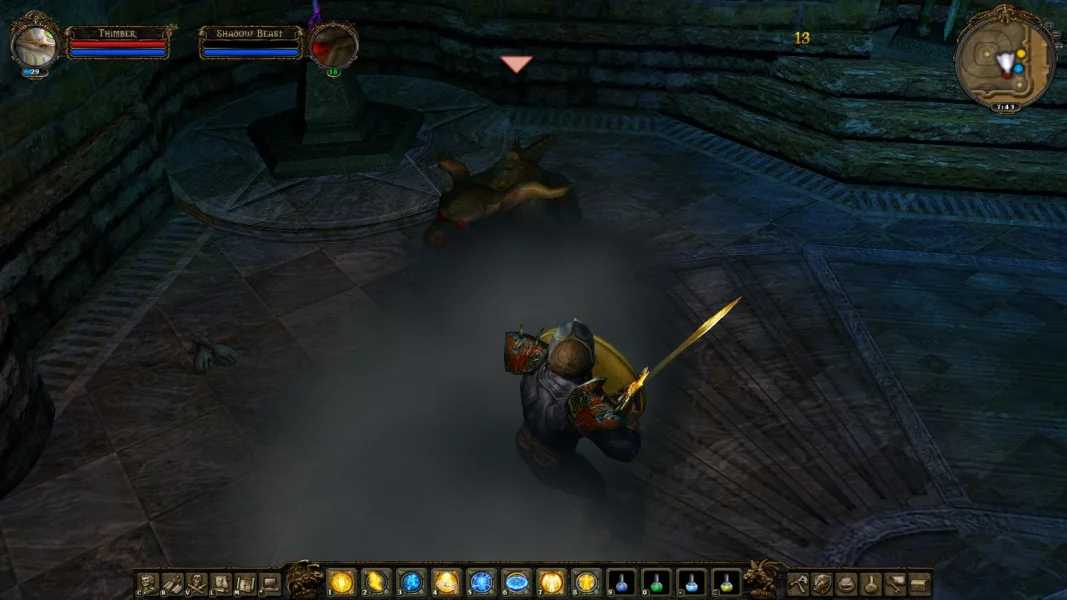 Изображение игры: Dungeon Lords MMXII