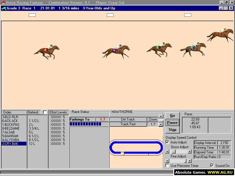 Изображение игры: Horse Racing Fantasy