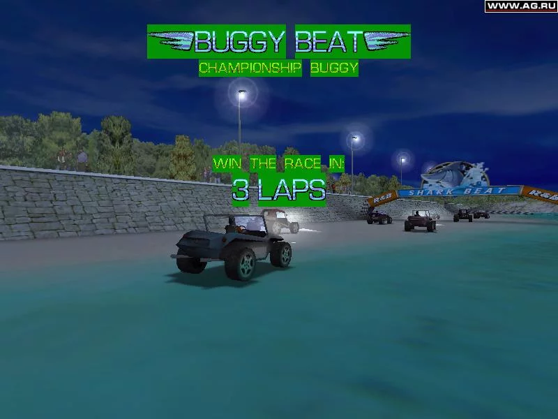 Изображение игры: Beetle Crazy Cup