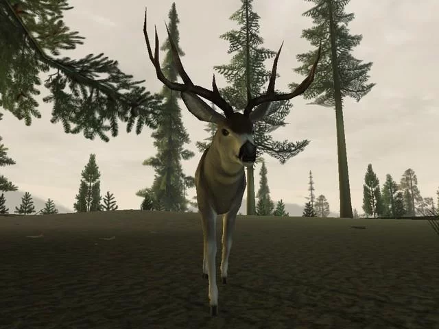 Изображение игры: Deer Hunter 2005