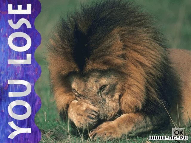 Изображение игры: Lion