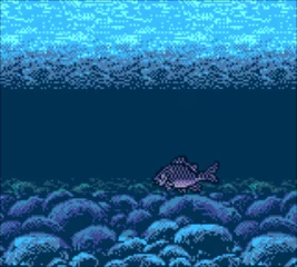 Изображение игры: Legend of the River King 2