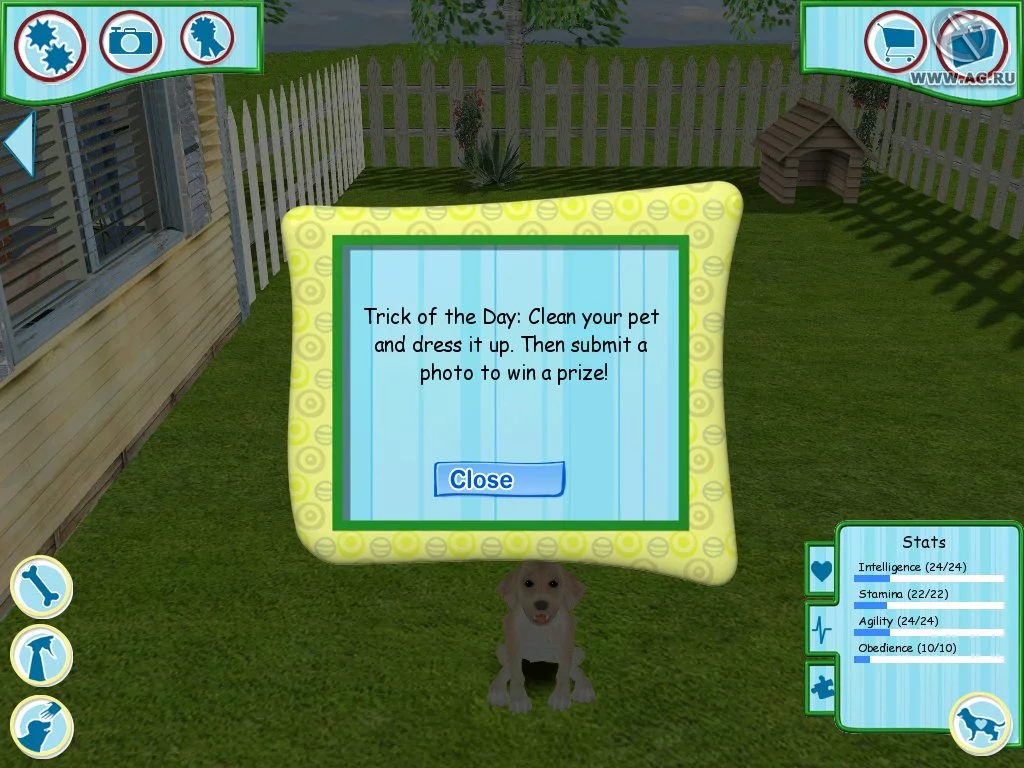 Изображение игры: Dogz 6