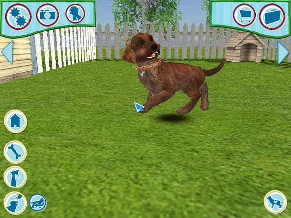 Изображение игры: Dogz 6