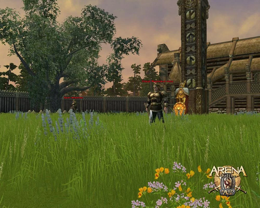 Изображение игры: ARENA Online: Dragon Age