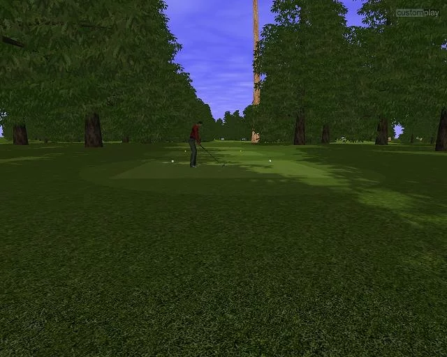 Изображение игры: Customplay Golf