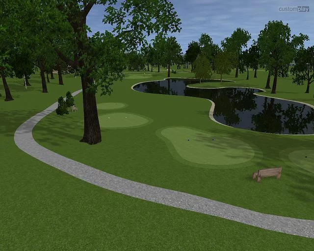 Изображение игры: Customplay Golf