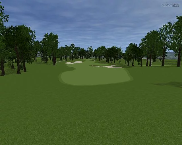 Изображение игры: Customplay Golf