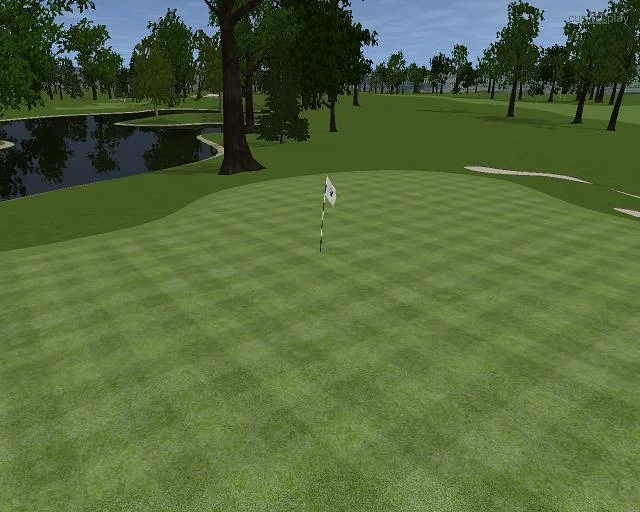 Изображение игры: Customplay Golf