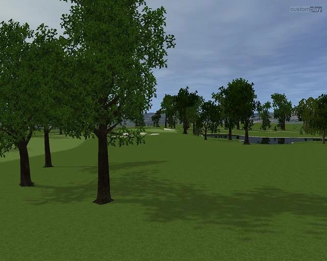Изображение игры: Customplay Golf