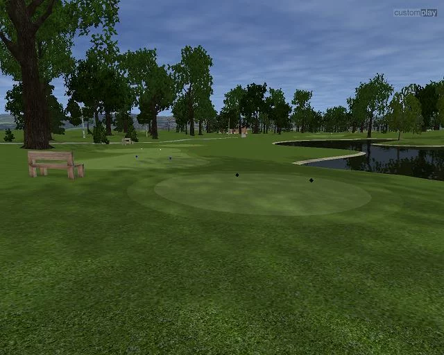 Изображение игры: Customplay Golf