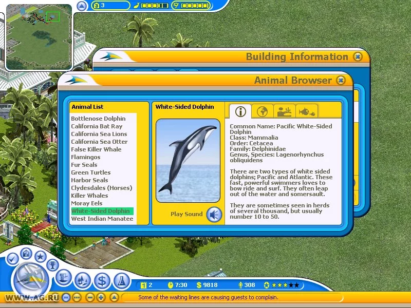 Изображение игры: SeaWorld Adventure Parks Tycoon