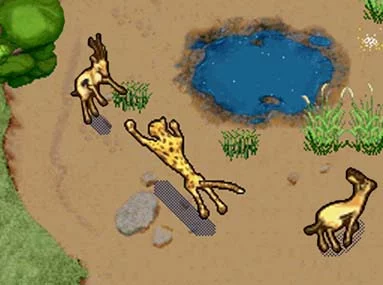 Изображение игры: SimAnimals Africa