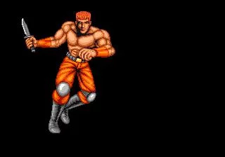 Изображение игры: Thunder Fox