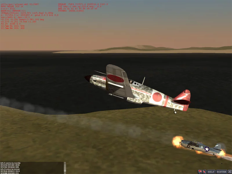 Изображение игры: WarBirds 2009