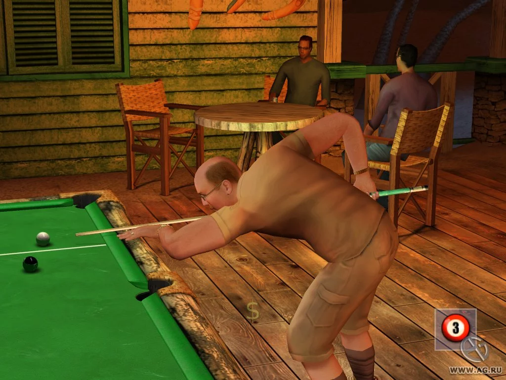 Изображение игры: Pool Shark 2