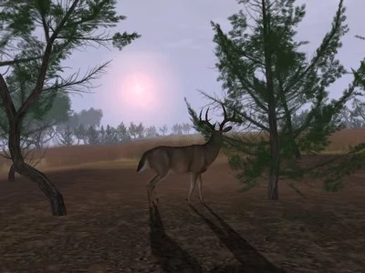 Изображение игры: Deer Hunter 2004