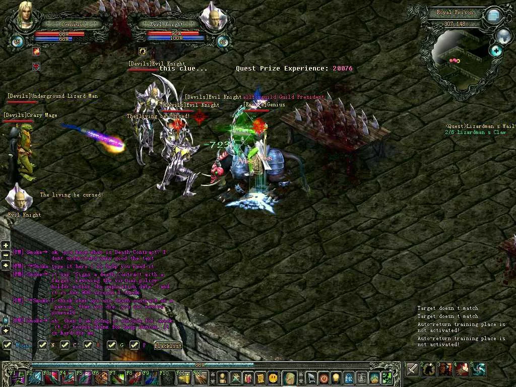Изображение игры: Magic World Online