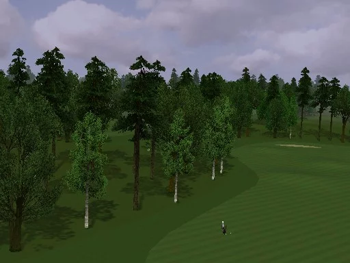 Изображение игры: ProStroke Golf: World Tour 2007