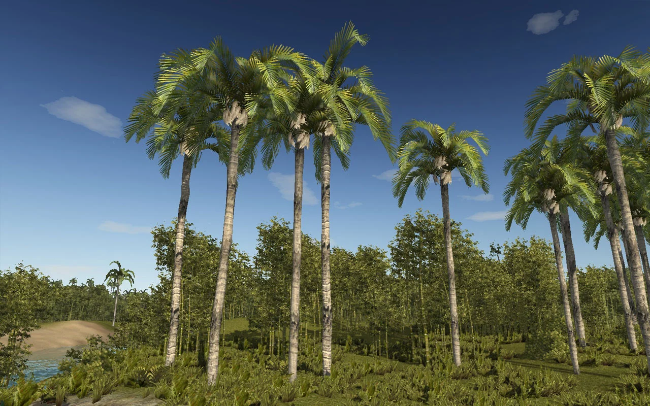 Изображение игры: Caribbean Legends