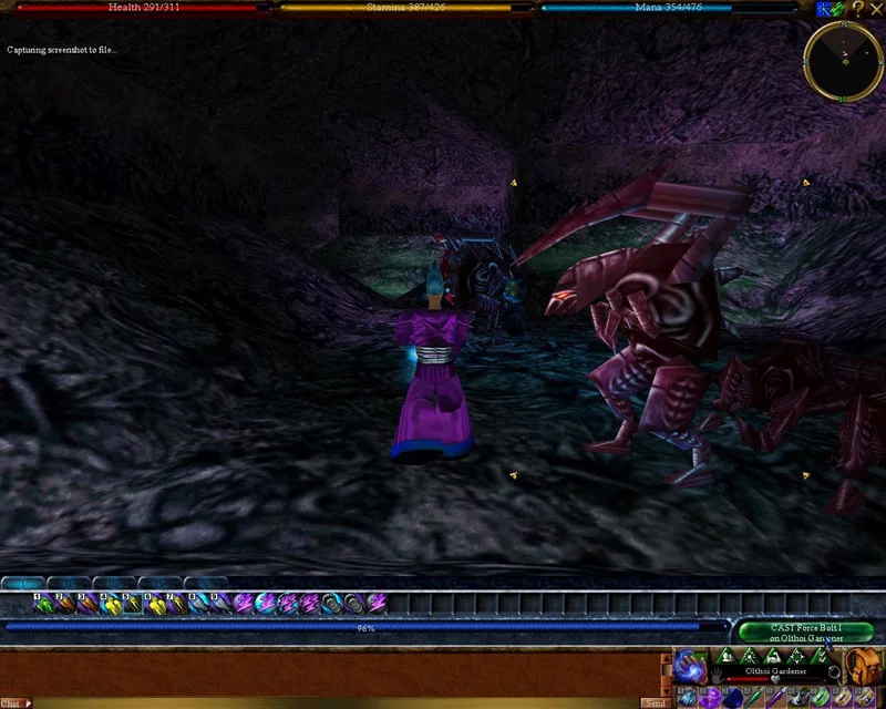 Изображение игры: Asheron's Call: Dark Majesty