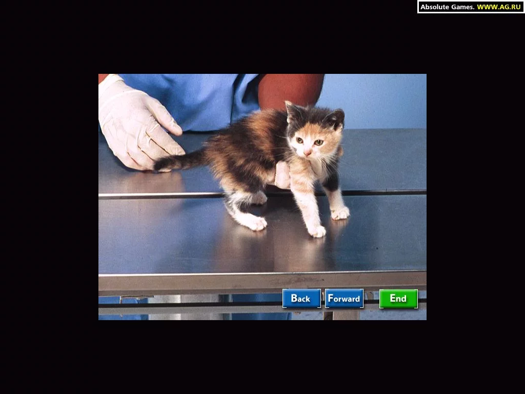 Изображение игры: Vet Emergency