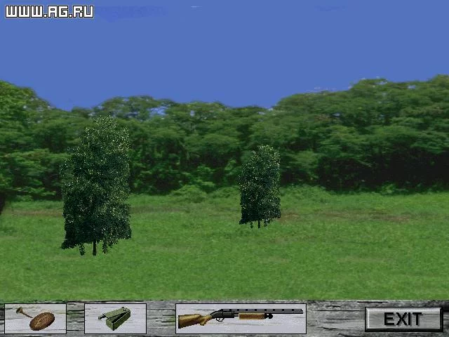 Изображение игры: Wild Turkey Hunt