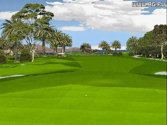 Изображение игры: Golf Pro 2000