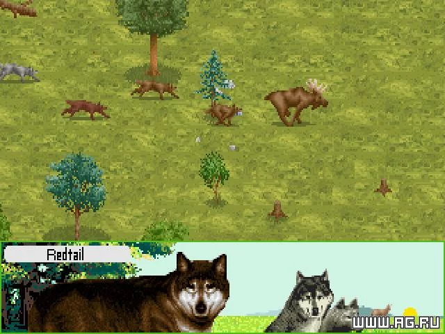 Изображение игры: Wolf
