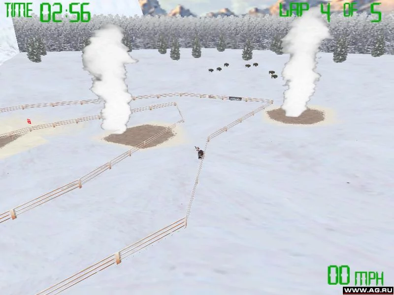 Изображение игры: Snowmobile Championship 2000