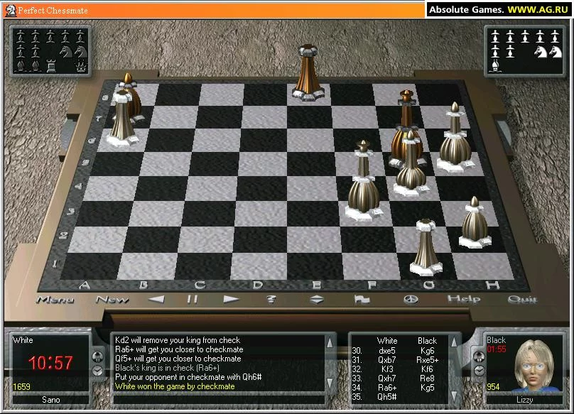 Изображение игры: Perfect Checkmate