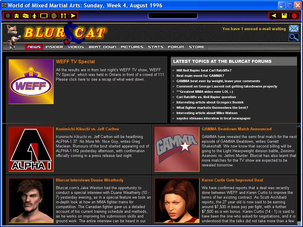 Изображение игры: World of Mixed Martial Arts