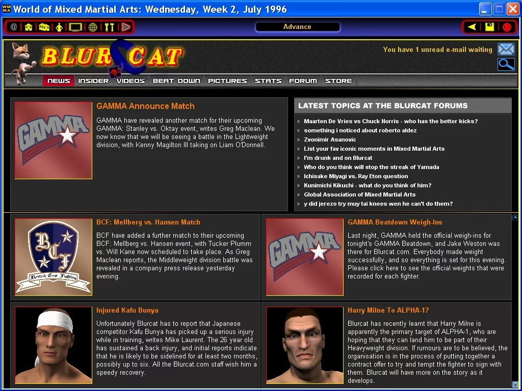 Изображение игры: World of Mixed Martial Arts