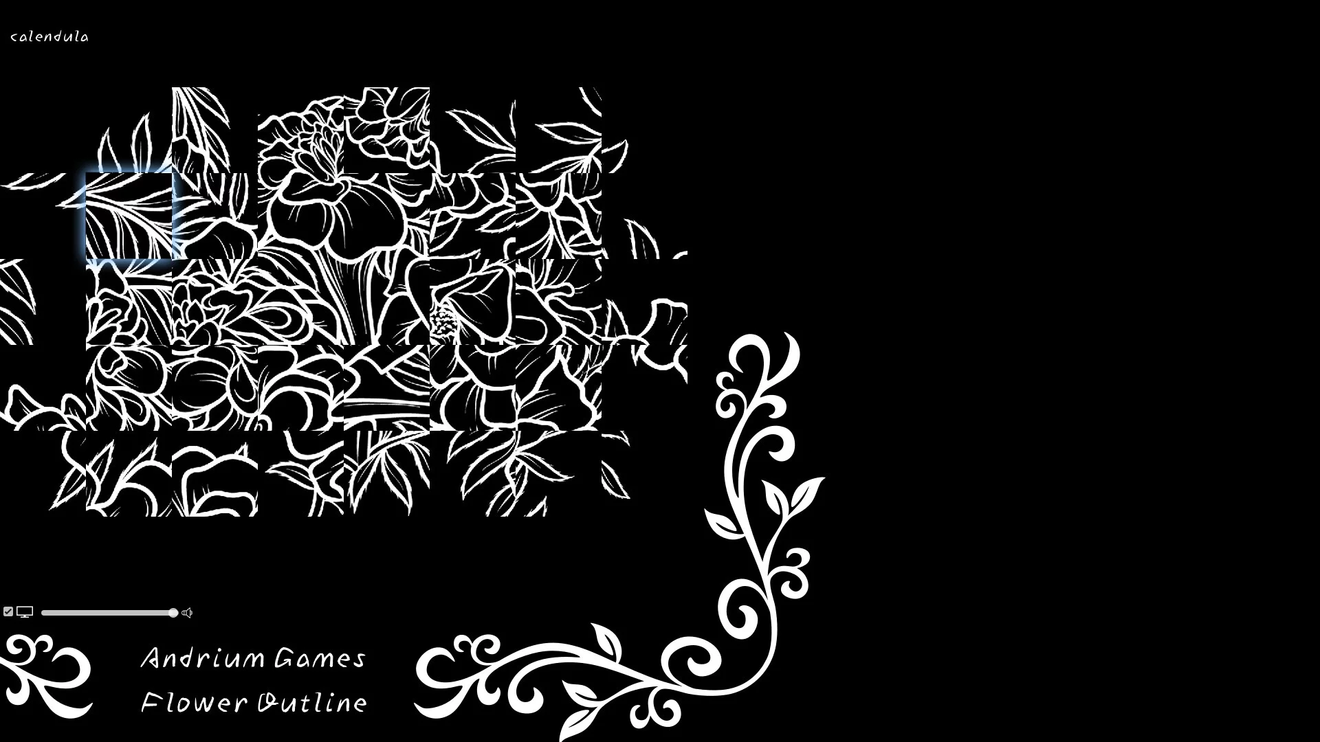 Изображение игры: Flower Outline